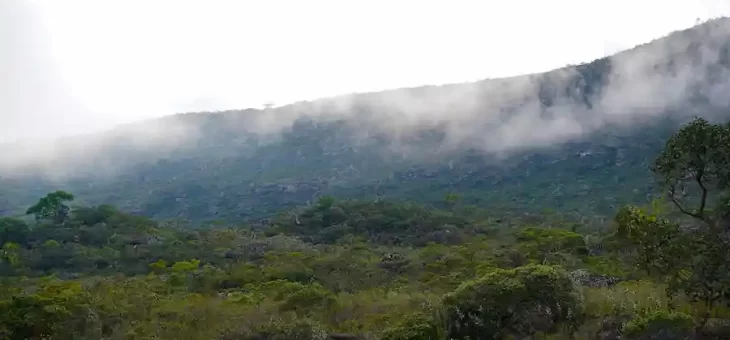 Renovação de Visto Americano em Contagem: Como Funciona para Moradores da Cidade