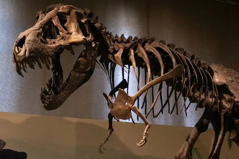 Fernbank Museum of Natural History